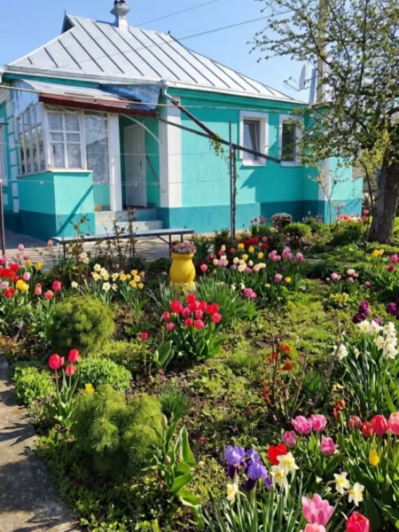 Продам будинок в с.Петрівці Миргородського району