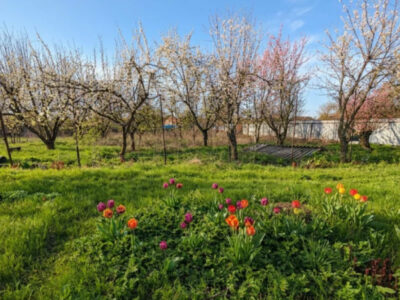 Продам будинок в с.Петрівці Миргородського району