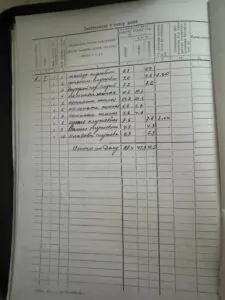 Пропозиція продажу будинку в Миргороді на вул. Луговій